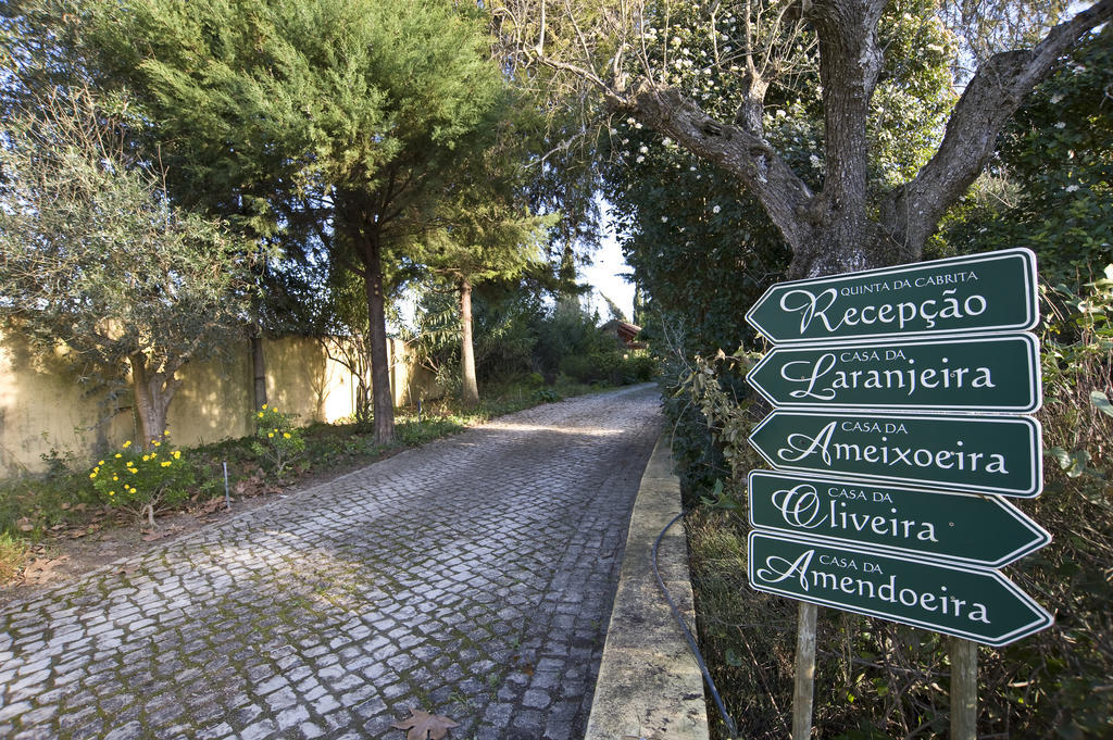 Villa Quinta Da Cabrita Santarém Esterno foto