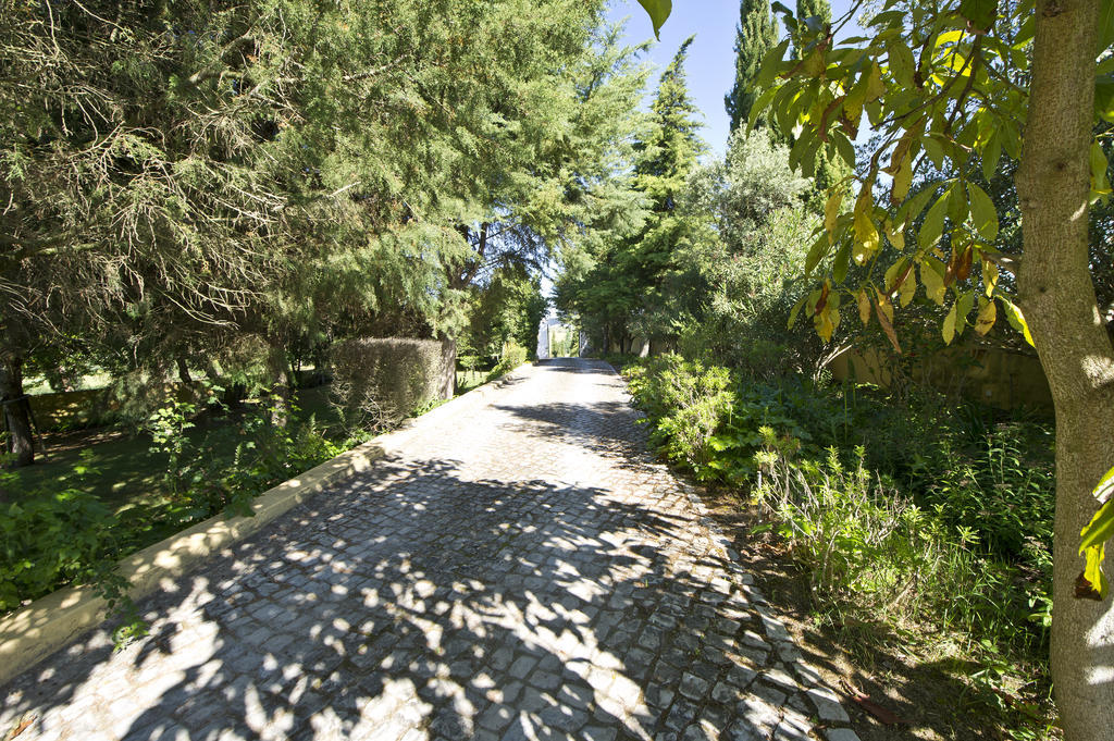 Villa Quinta Da Cabrita Santarém Esterno foto