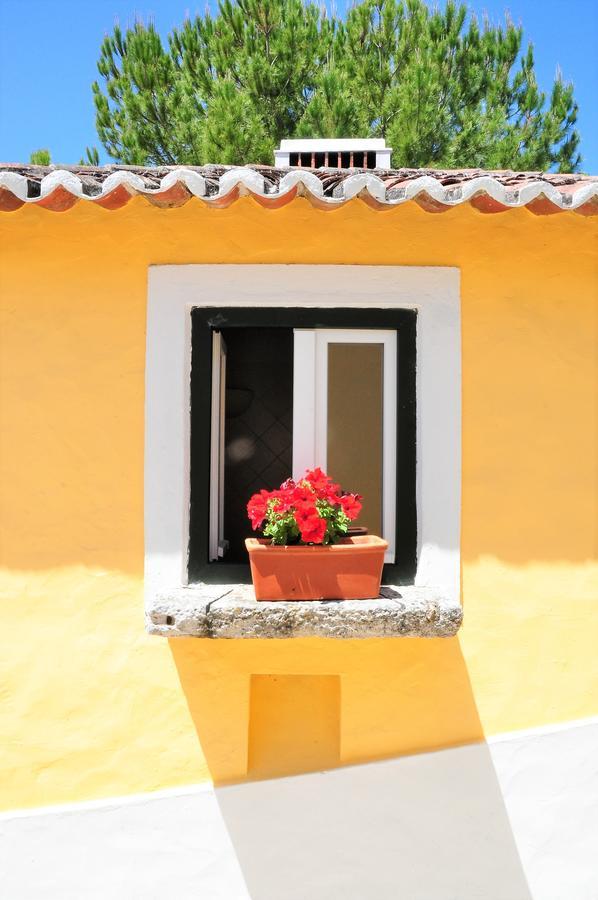 Villa Quinta Da Cabrita Santarém Esterno foto